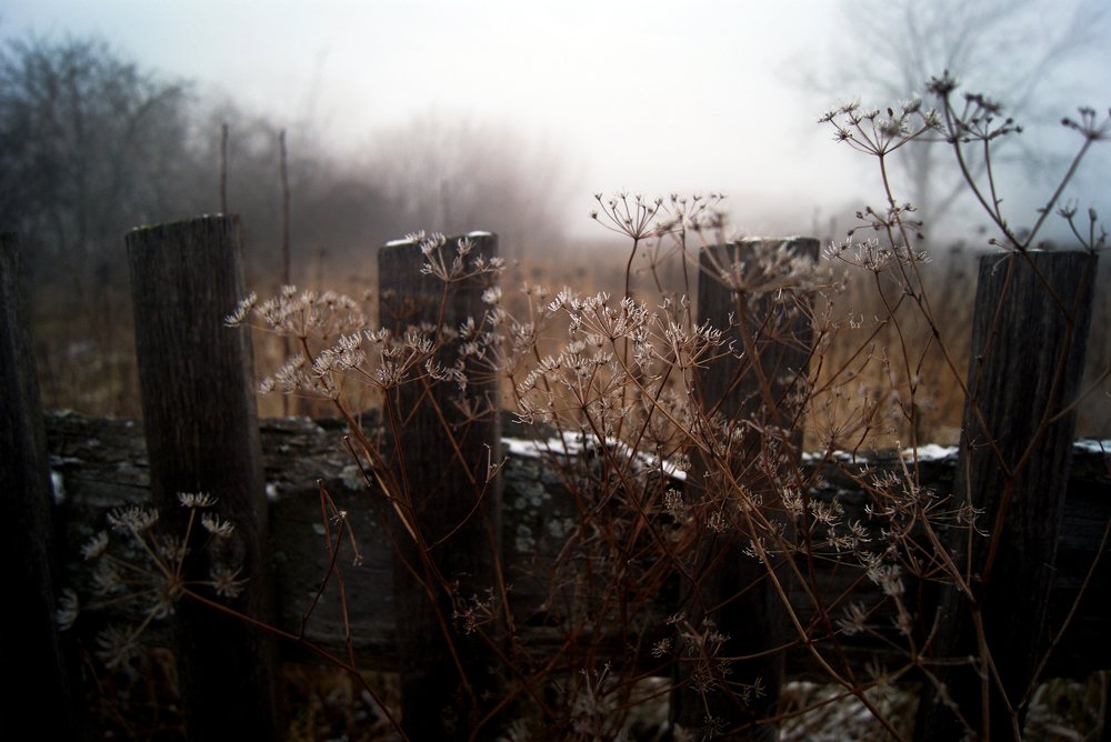 Photograph by Валерия Паринова