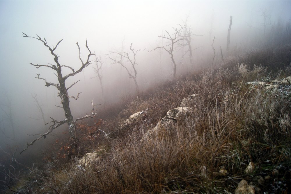 Photograph by Валерия Паринова