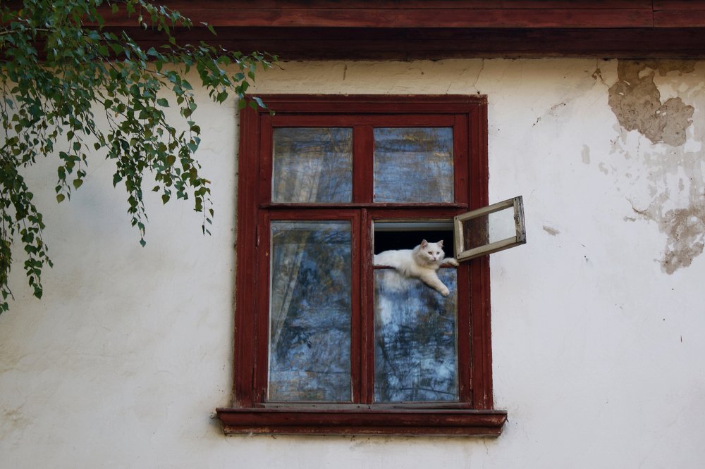 Photograph by Валерия Паринова