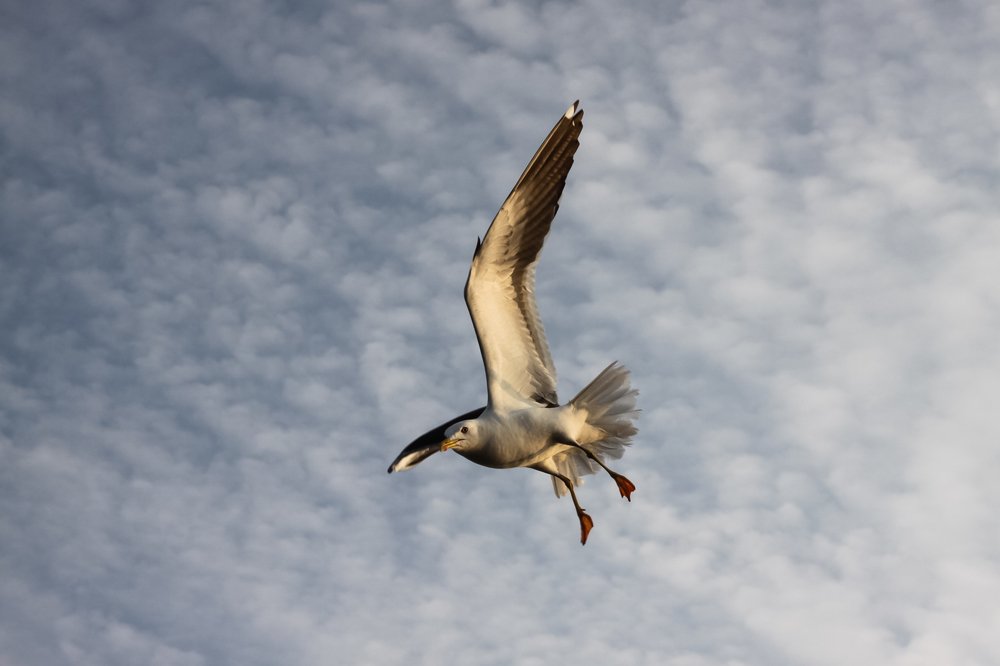 Photograph by Anatoliy
