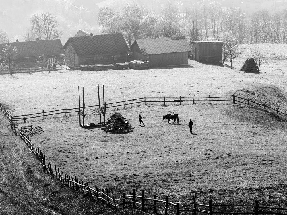 Photograph by Крицак Ольга