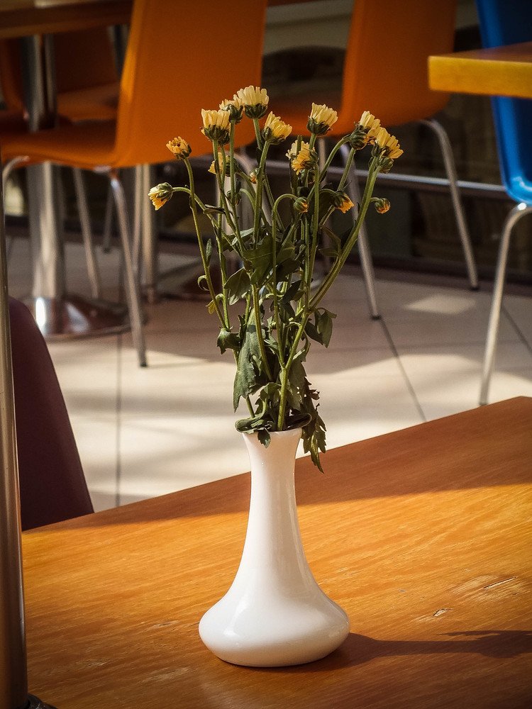 Photograph by Наталья Кроткова