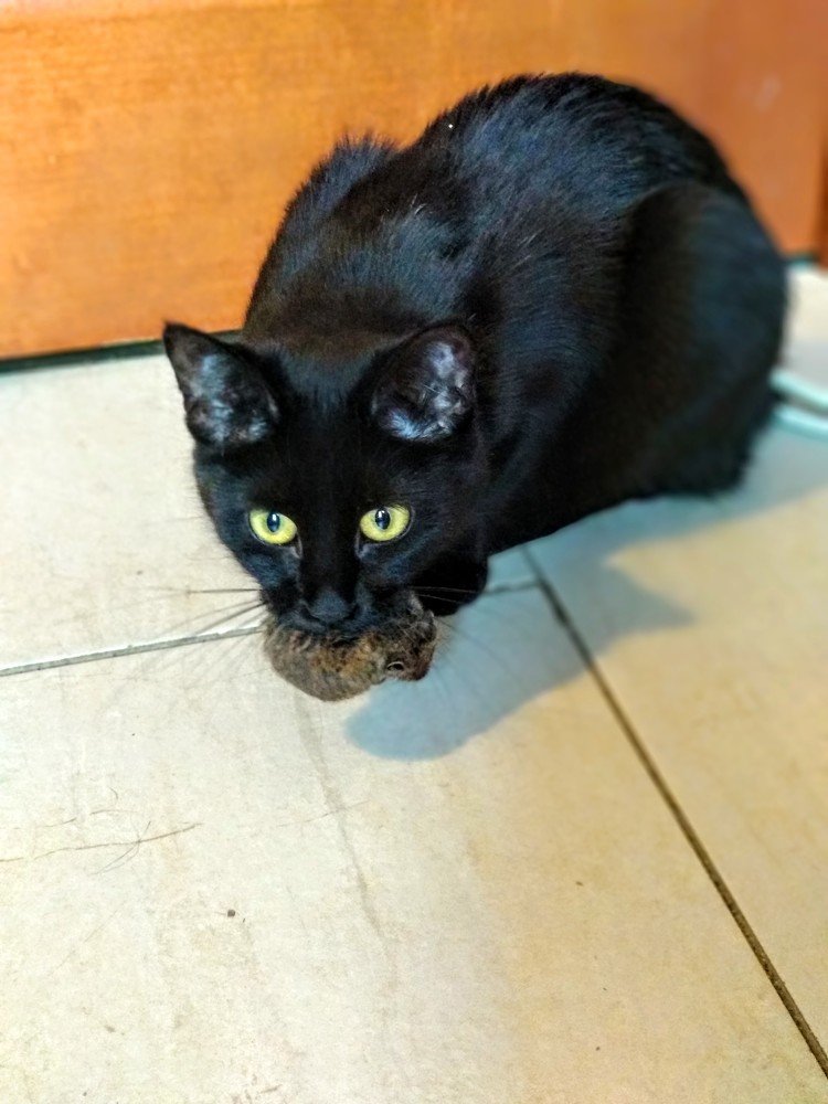 Photograph by Алеся Писнова