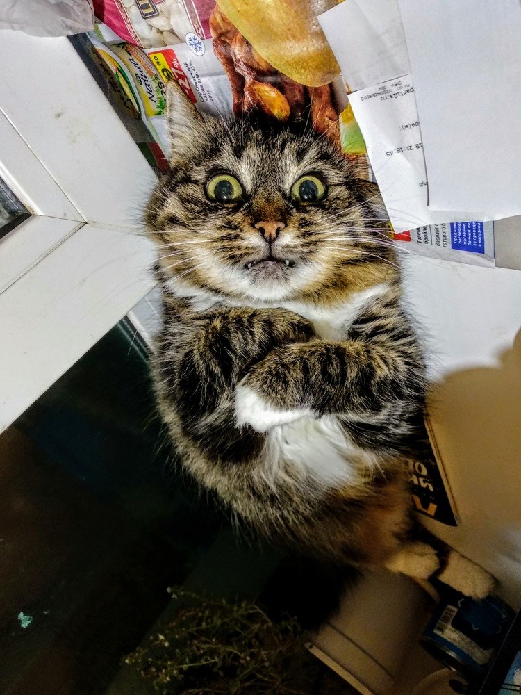 Photograph by Алеся Писнова