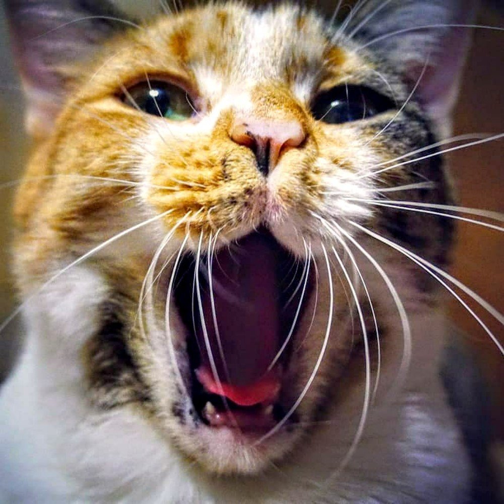 Photograph by Алеся Писнова