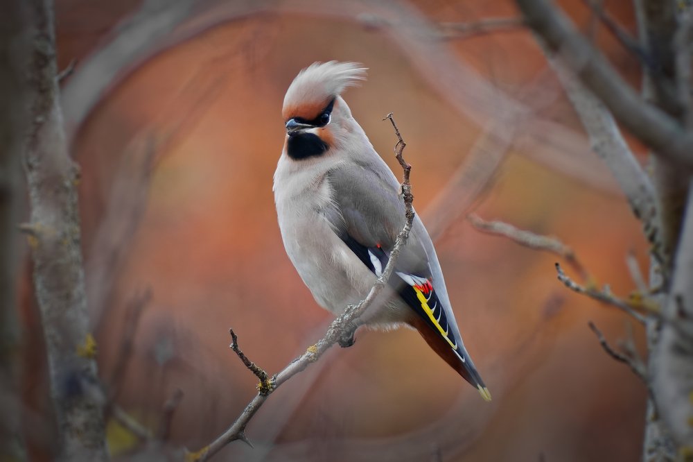 Photograph by Анатолий Калмыков