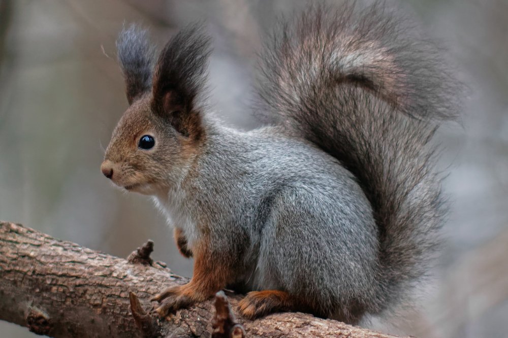 Photograph by Анатолий Калмыков