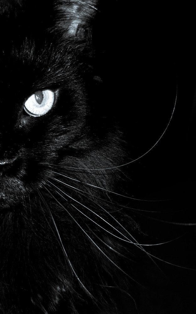 Photograph by Марина Тарасова