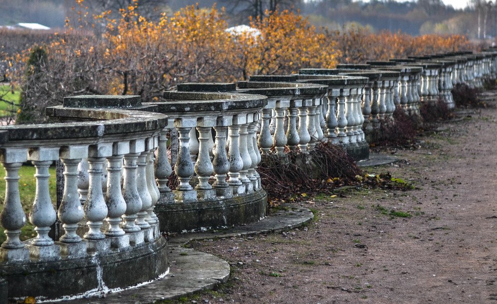 Photograph by Елена Боржковская