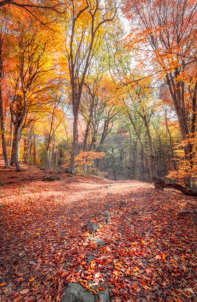 Photograph by Роман Мурашов