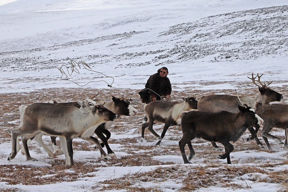 Photograph by Анна