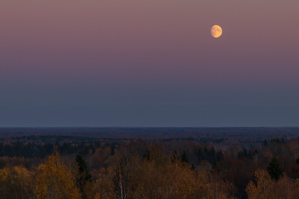 Photograph by JANIS BIJA