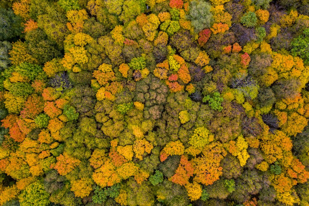 Photograph by Игорь Кляхин