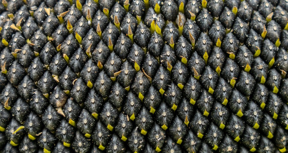 Photograph by Игорь Кляхин