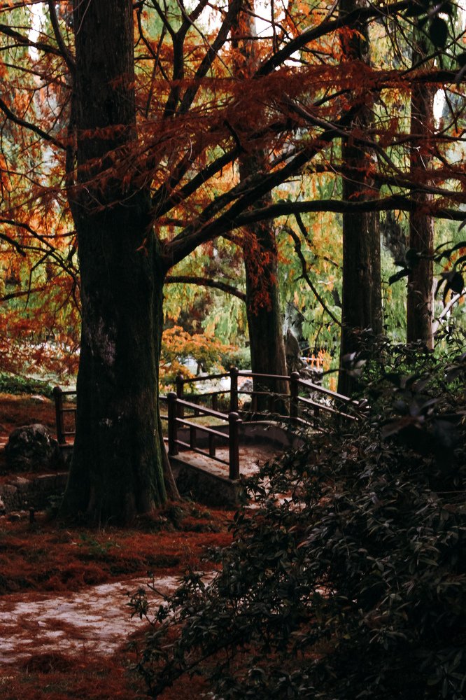 Городская осень...