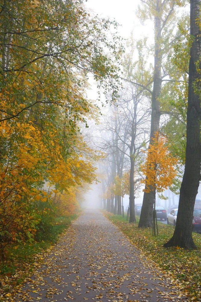 Photograph by Любовь Ращупкина