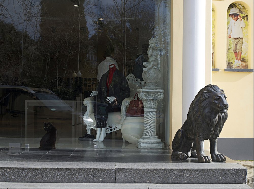 Photograph by Анна Хачатрян