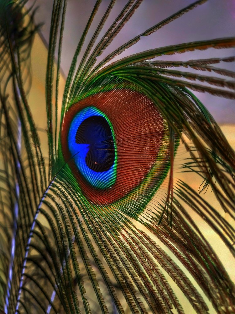 Photograph by Анна Бурлака