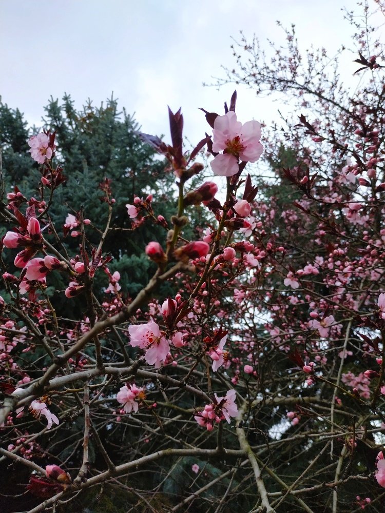 Photograph by Анна Бурлака