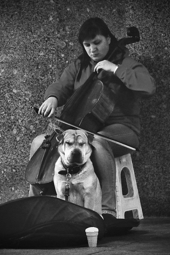 Photograph by Artem Gatin