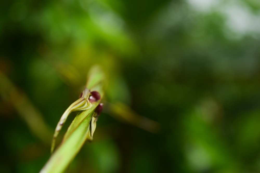 Photograph by Yanluk Prevost