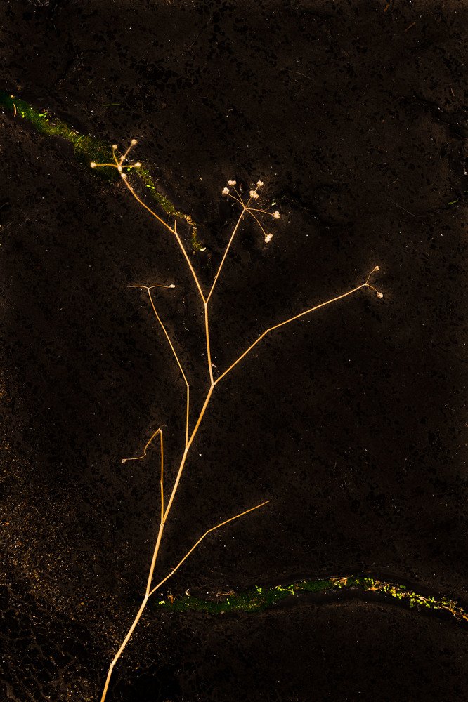 Photograph by Петецкая Юлия