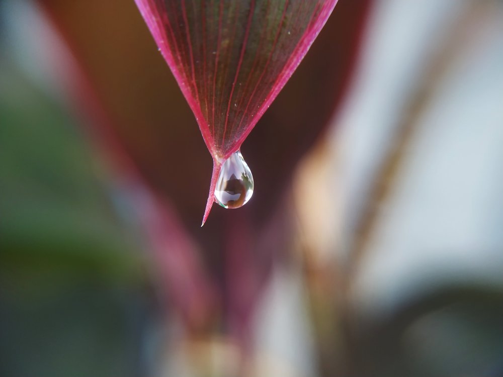 Photograph by Dian Putera