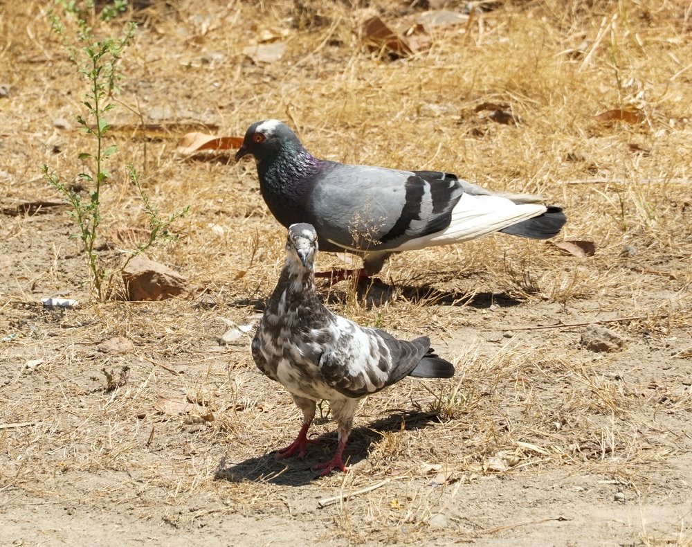 Photograph by Dian Putera