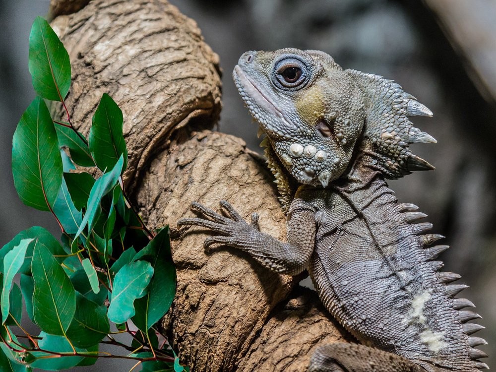 Photograph by Dmitriy Gussak