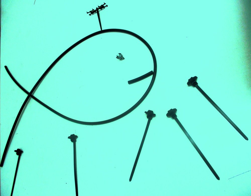 Photograph by Darko Milojevic