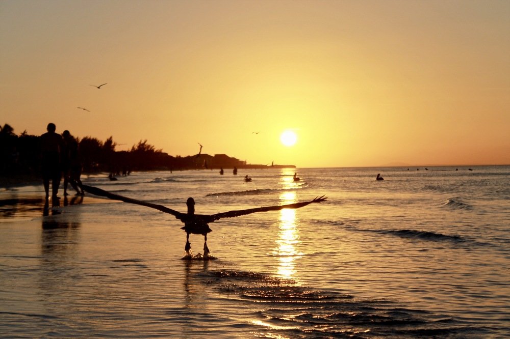 Photograph by Ольга Мукина