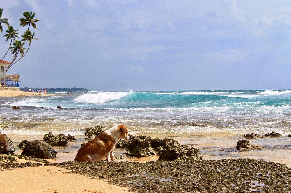 Photograph by Ольга Мукина