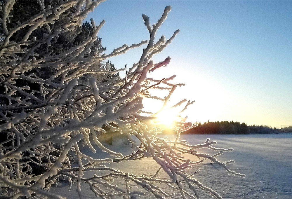 Солнечный день.