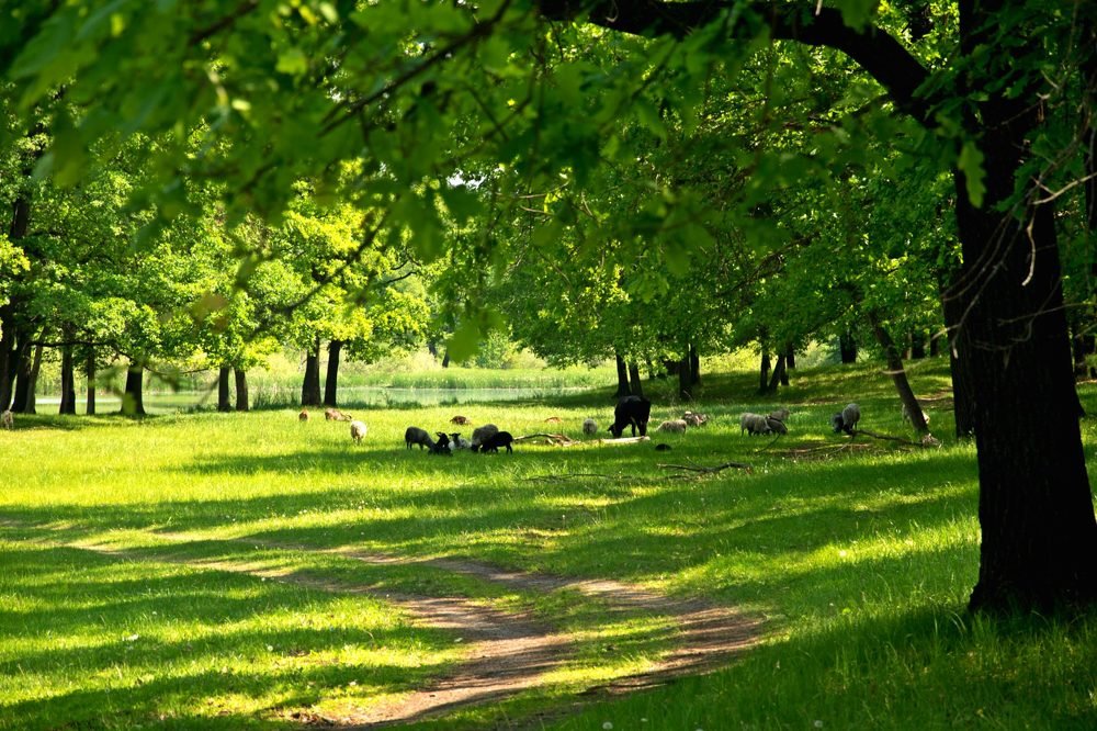 Photograph by Аль****