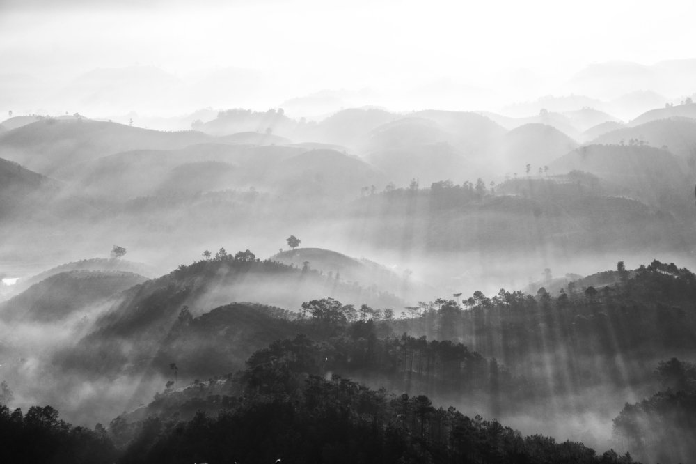 Photo #3915991