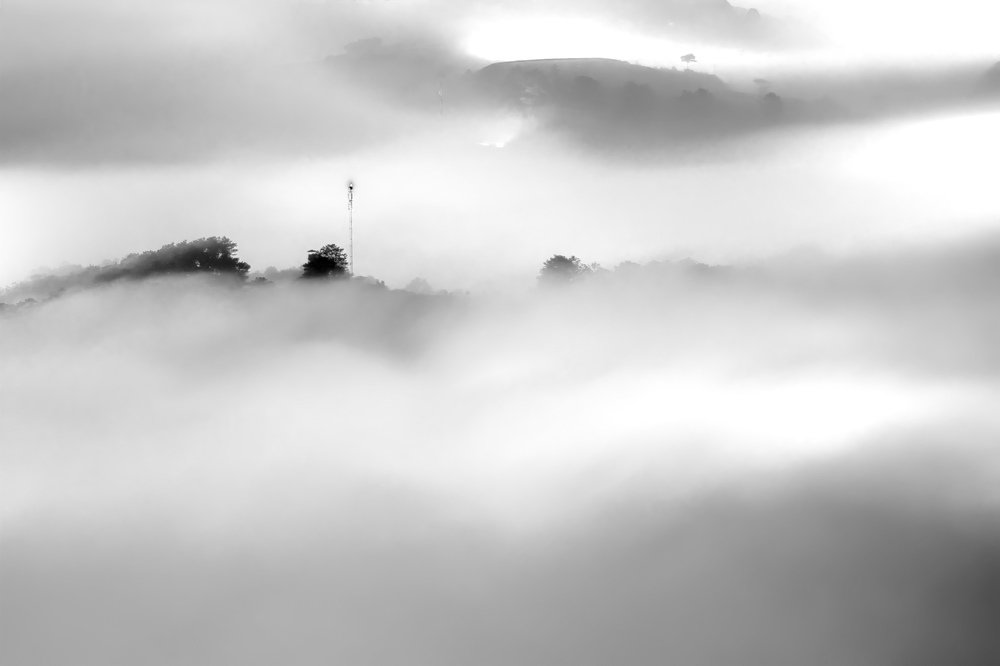 Photograph by phuong