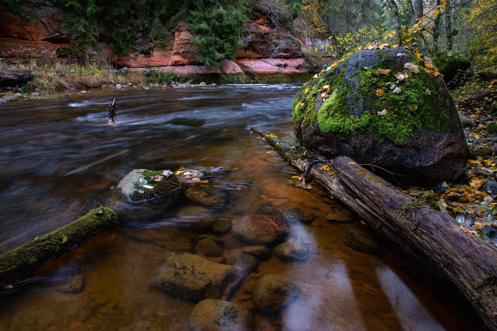 Photograph by Dace Spalviņa