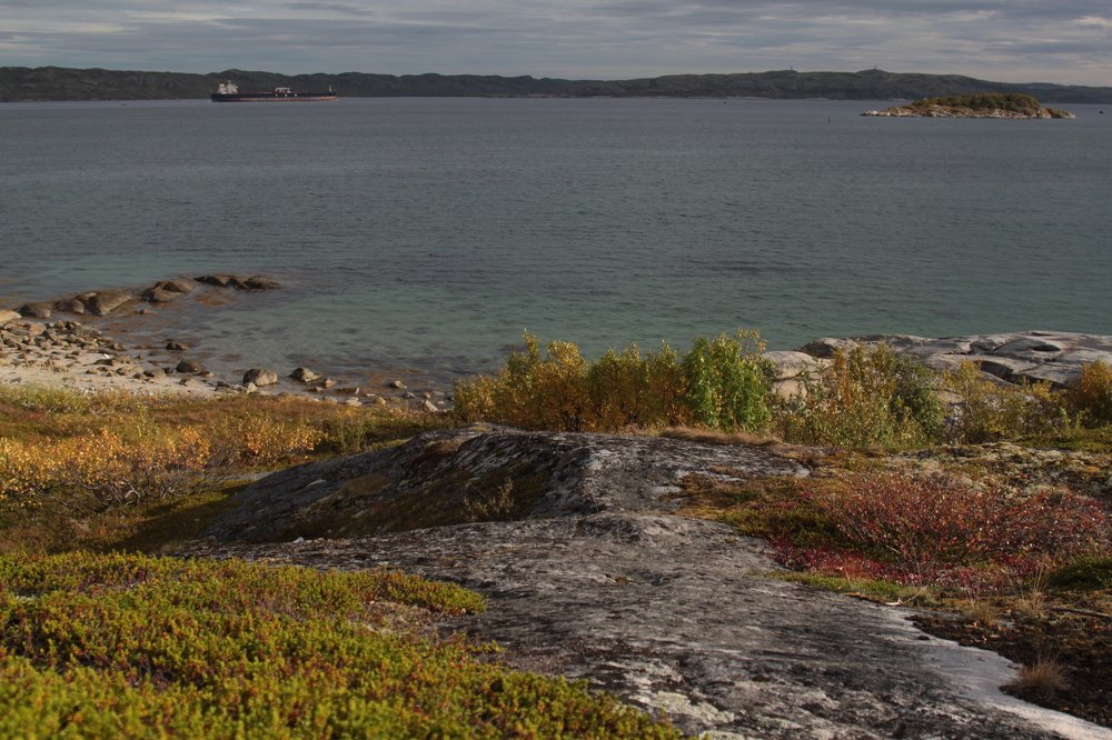 Photograph by Ульяна