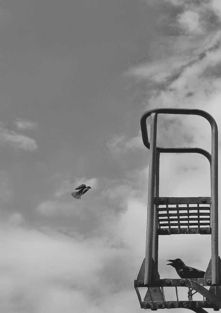 Photograph by Al Yeacha irfan