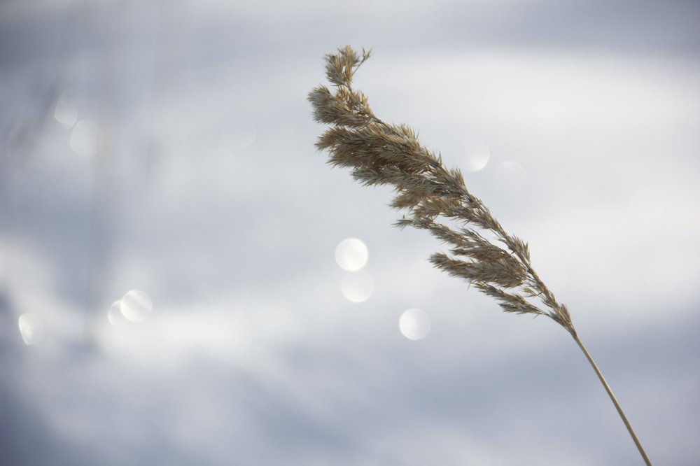 Photograph by Anna Gapanovich