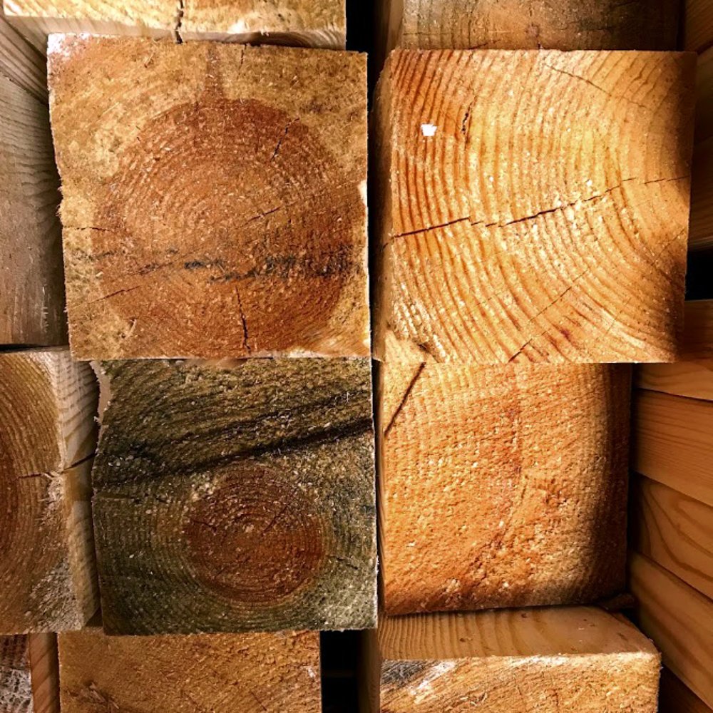 Photograph by Yuliia Starodubova