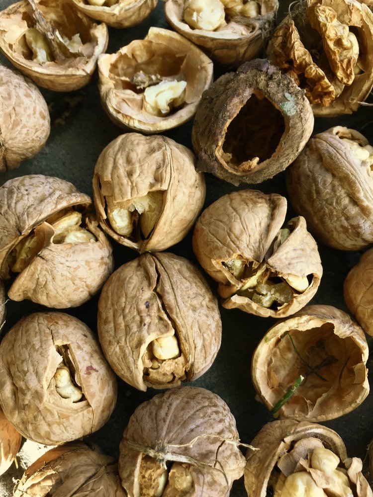 Photograph by Yuliia Starodubova