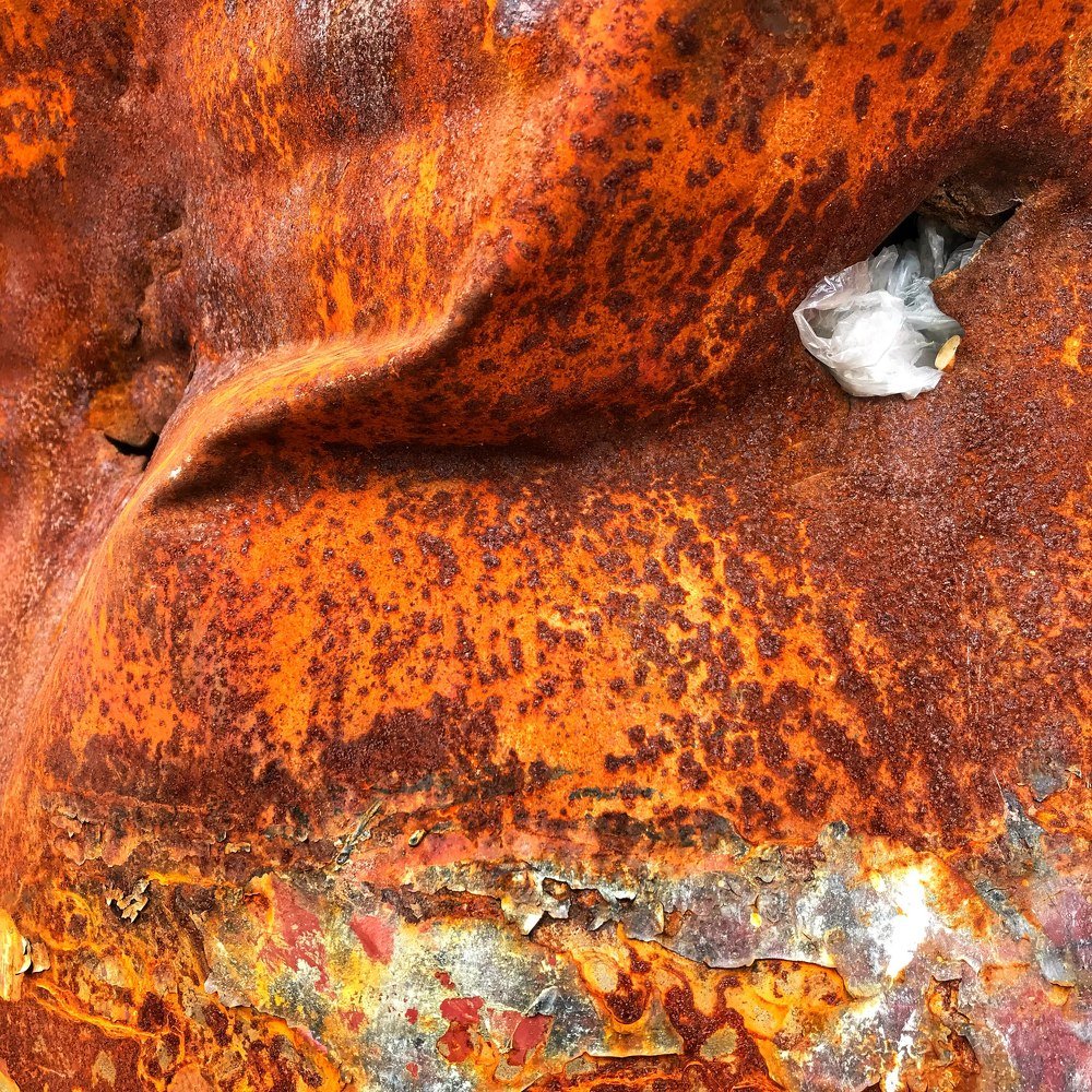 Photograph by Yuliia Starodubova