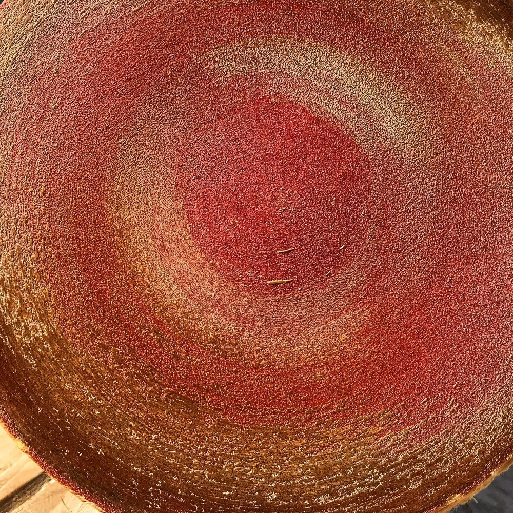 Photograph by Yuliia Starodubova