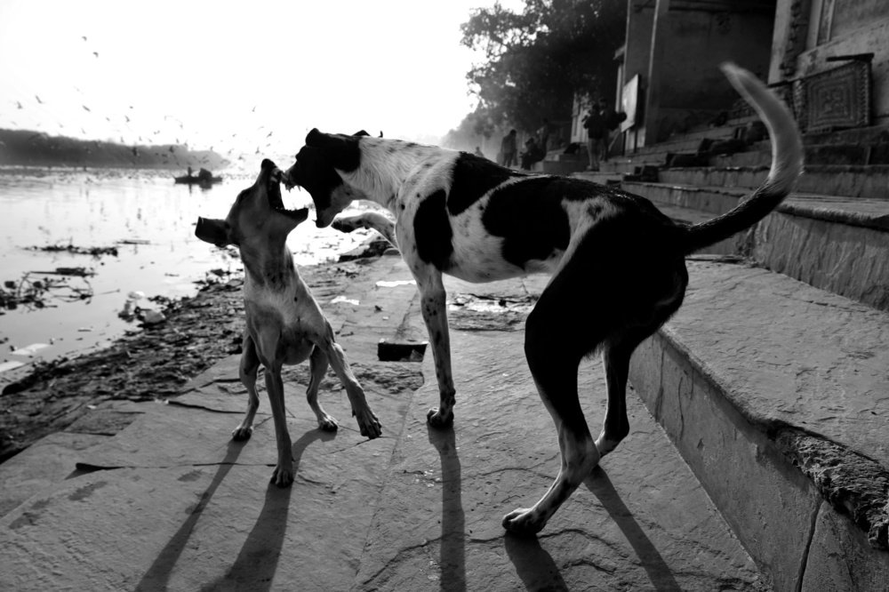 Photograph by kartik pahuja