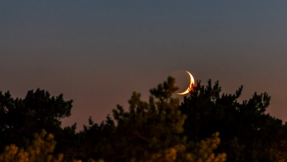 Photograph by Юлия Долгина