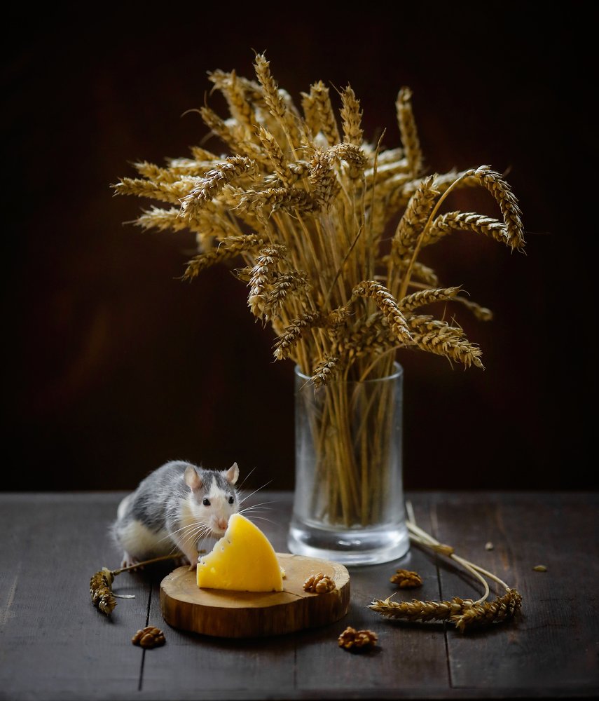 Фотография автора Евгения Грин