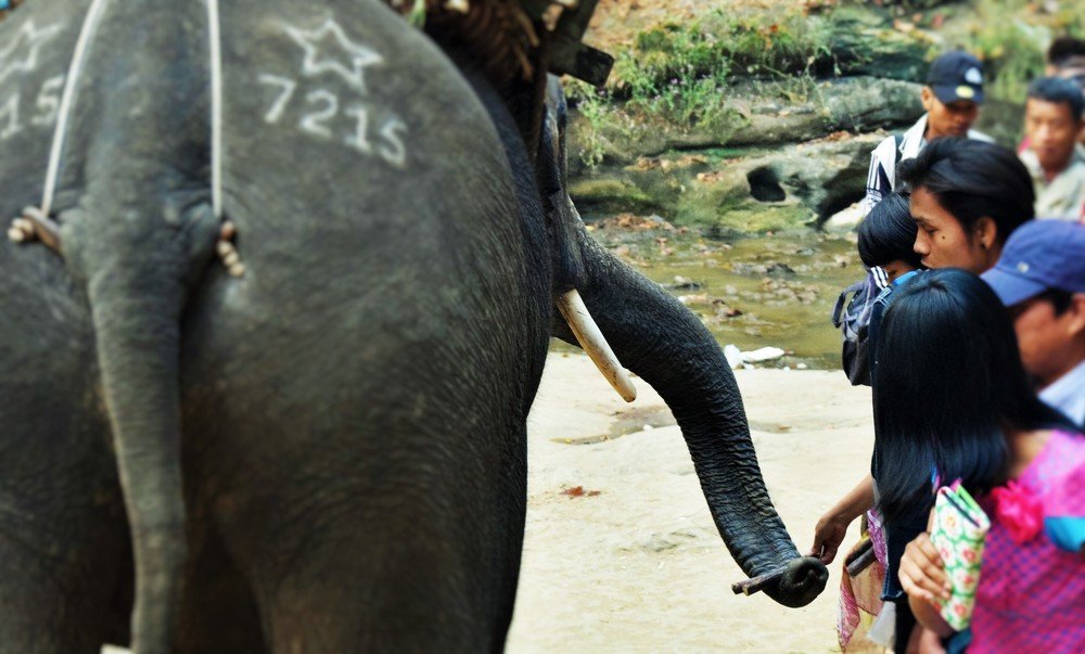 Photograph by zawlatt Myo