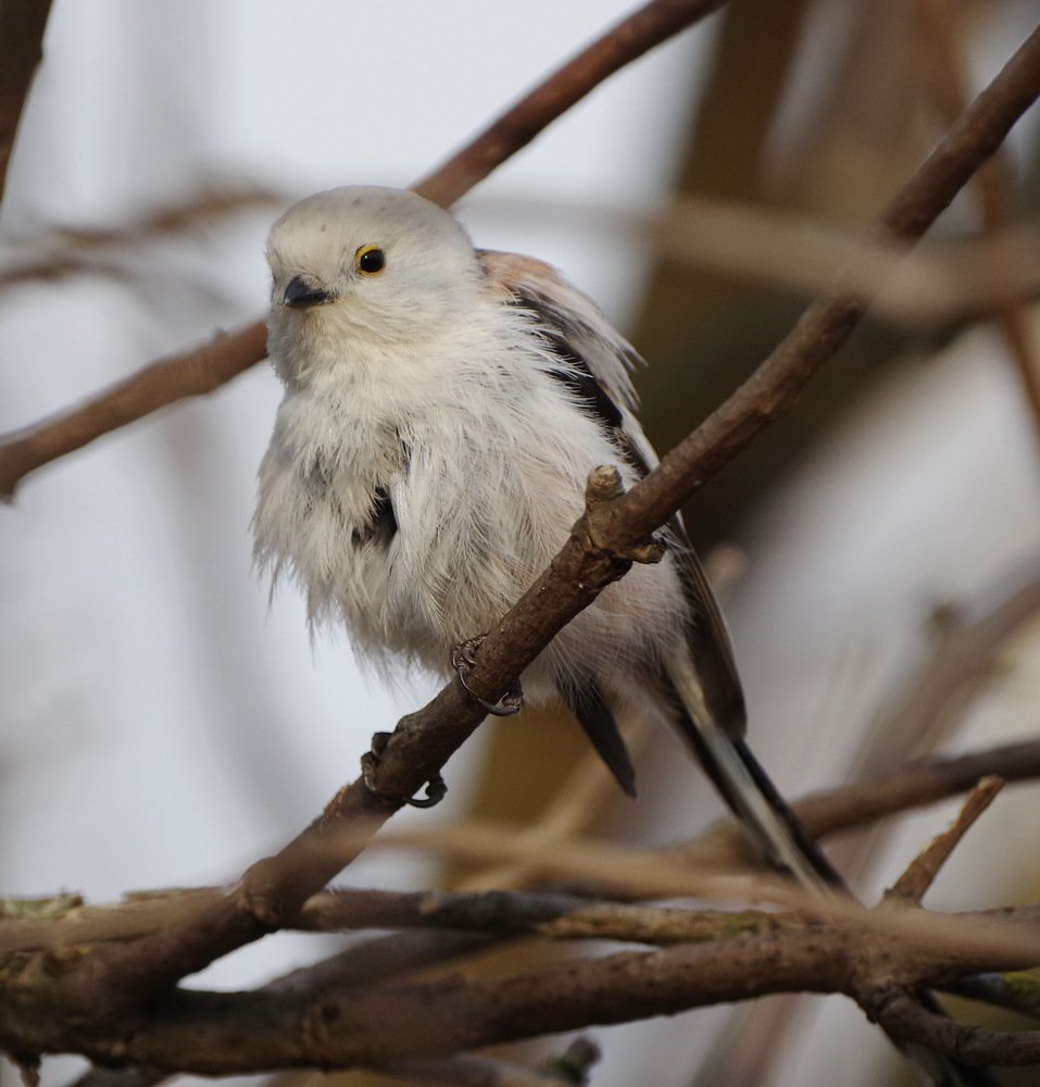 Photograph by Алексей Зенякин