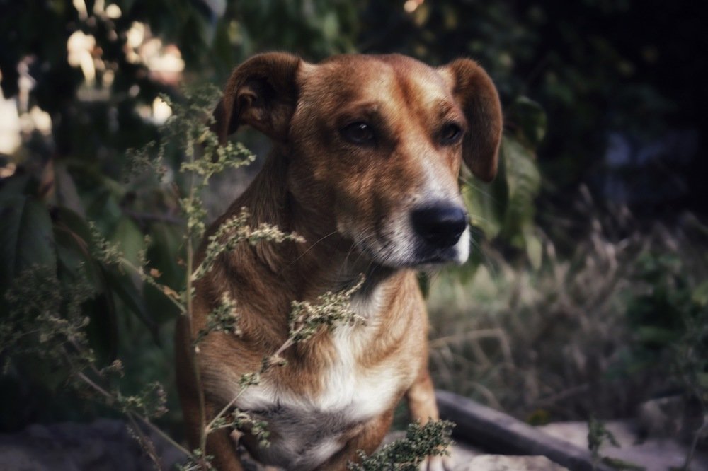 Photograph by Рыжик Алёна